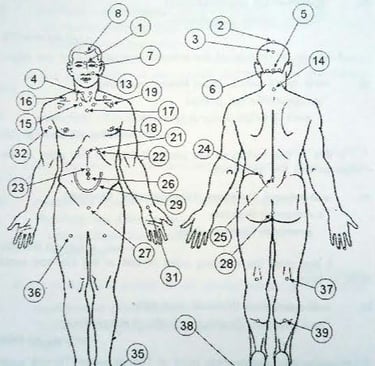 Vetrivel Health center best chiropractic and varamam theraphy 