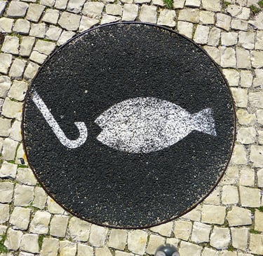 Are You Using the Wrong Hook Learn What Really Grabs Attention