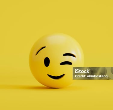 consultant SEO PAYS BASQUE