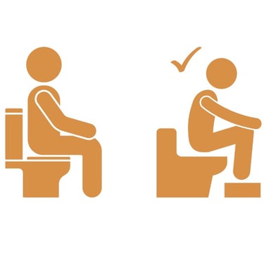 Toilet posture