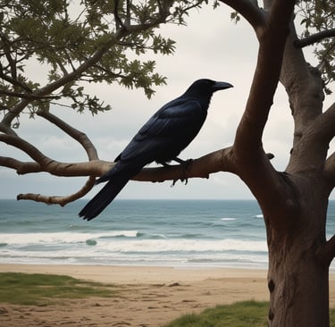 Sunlight filtering through sheer curtains onto a table set for energetic guidance.