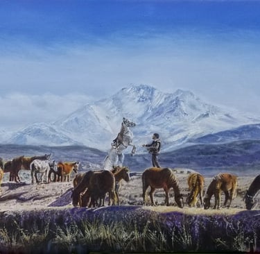 Man working with wild horses