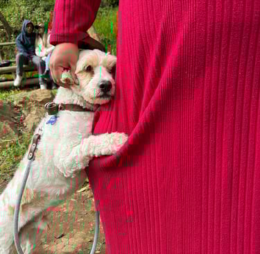 Un pequeño perro blanco con correa se apoya cariñosamente en una persona que lleva un vest