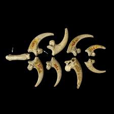 najstarija ogrlica na svijetu