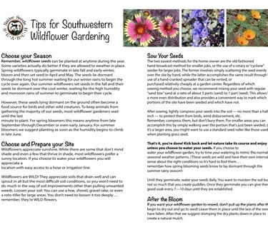 A guide for Southwestern wildflower gardening tips featuring photos of vibrant desert flowers and planting instructions.