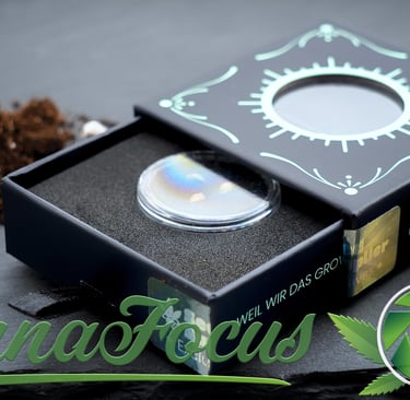 Von der Verpackung in die Erde: Diese Aufnahme der 'Papaya Dragon' Samen zelebriert den Moment vor dem ersten Einpflanzen