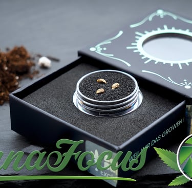 Von der Verpackung in die Erde: Diese Aufnahme der 'Seed Supplier' Samen zelebriert den Moment vor dem ersten Einpflanzen