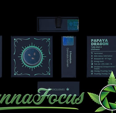 Für dieses Shooting der 'Papaya Dragon' Premium-Samen lag der Fokus auf einem minimalistischen, aber ausdrucksstarken Flatlay