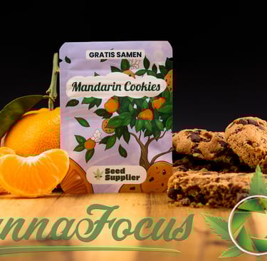 Geschmack, den man sehen kann Diese Produktaufnahme der Mandarin Cookies Samen von Seed Supplier erweckt das Aroma zum Leben.