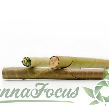 Diese Aufnahme setzt hochwertig verarbeitete Blunts durch ein minimalistisches High-Key-Setup perfek