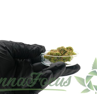 a person in a black glove holding a bowl of marijuana