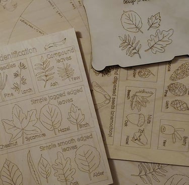 images and word descriptions of tree leaves and tree seeds