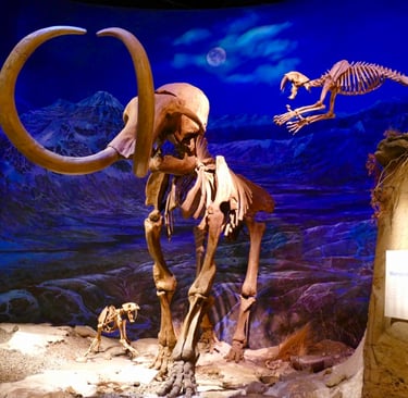 Royal Tyrrell Museum