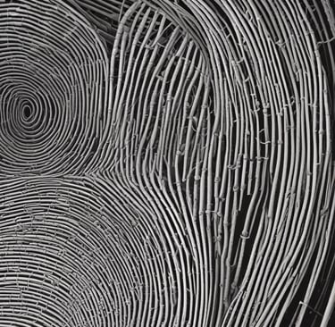 Bright living room with modern inventory