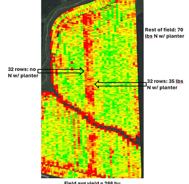 Figure 1:  Nitrogen trial - corn planted into rye
