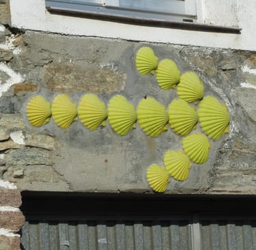 a group of yellow shells on a stone wall