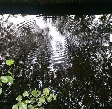 a circular shaped object in the middle of a pond