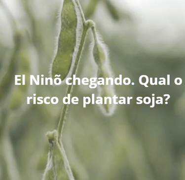 el ninõ 2026 - qual o risco de plantar soja