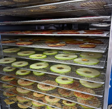 Rodajas de manzana deshidratada natural sin azúcar añadida