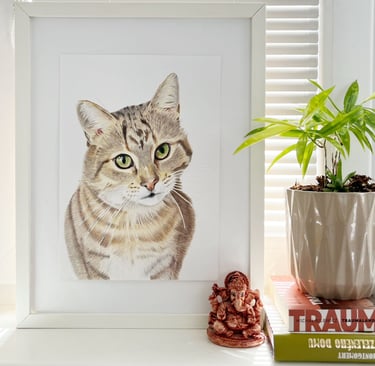 Framed colored pencil realistic portrait of a tabby cat