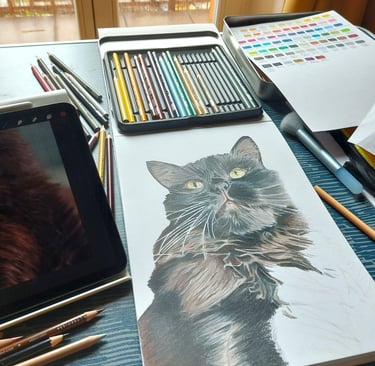 Unfinished  hand drawn colored pencil drawing of a black cat portrait
