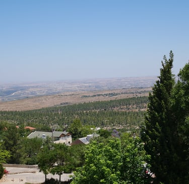 a view of a city from a hill top