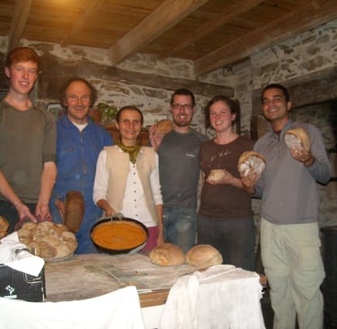 Volunteering on an Organic farm in Bretagne, France