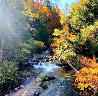 Upstate NY in the fall, gorge, colorful leaves