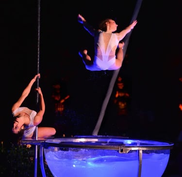 spettacolo di waterbowl acrobatica milano