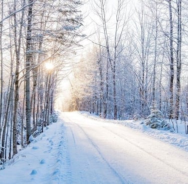 Goldene Sonne scheint durch einen verschneiten Wald auf eine ruhige, helle Winterstraße