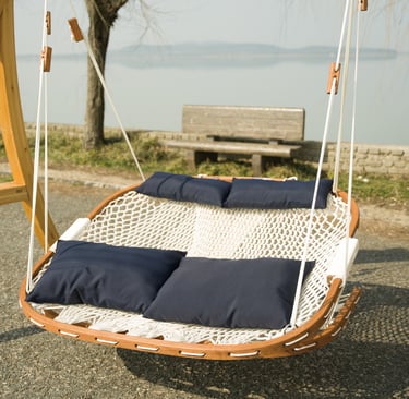 Saniwerke double swing chair with pillows
