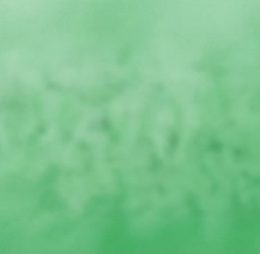 a person holding a surfboard in the ocean