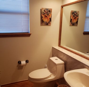 Modern bathroom interior featuring a white toilet, sink, large mirror, and bird artwork on the wall.