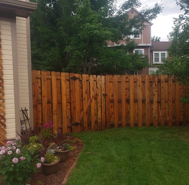 A wooden cedar privacy fence with a gate stands in a backyard garden with green grass and pink flowers.