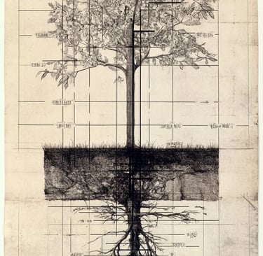 schematical drawing of tree
