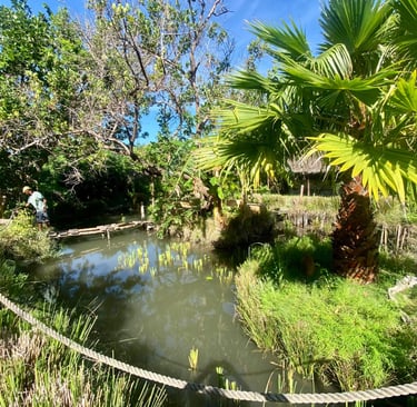 lac poissonneux