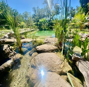 piscine naturelle