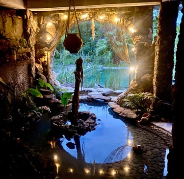 piscine naturelle