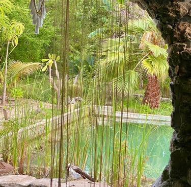 piscine privée
