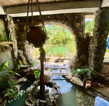 piscine naturelle
