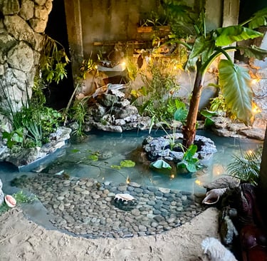 bassin intérieur