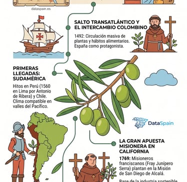 Infografía del viaje del olivo a América: Historia de la olivicultura española