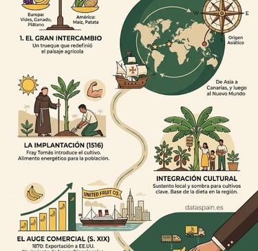Infografía del impacto del plátano en América: Un legado español que cambió el mundo