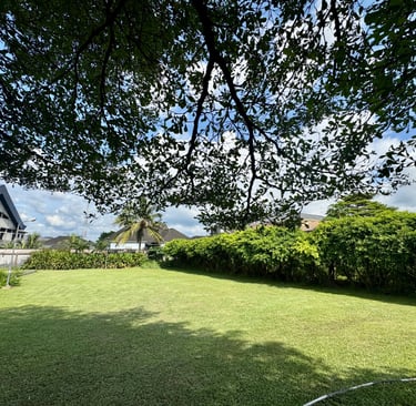 A lush green lawn backyard surrounded by dense garden hedges and trees under a bright blue sky.