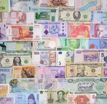 The Future of Fiat Currency & Inflation Hedge