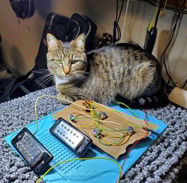 Furn the cat checks the readiness of a custom wiring harness for a pickup installation