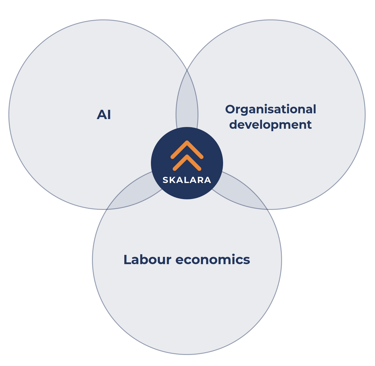 SKALARA approach: Venn diagram of AI, organisational development and labour economics