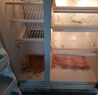 Reliable Cleaning Services Palm Coast FL Commercial Residential Vacation Rentals Call 386-237-2638