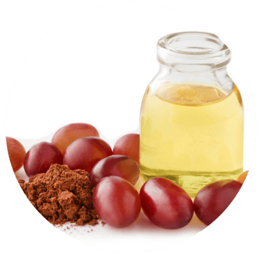 Traubenschalenextrakt aus Vitis vinifera – natürliche Quelle antioxidativer Pflanzenstoffe