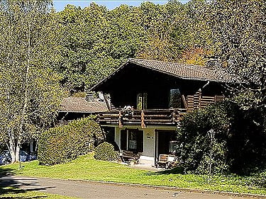 Een rustiek houten chalet met balkon, verscholen in een weelderige groene open plek in het bos.